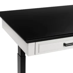 47" Losondo Transitional Height Adjustable Desk With USB Ports - HOMES: Inside + Out 25 47" Losondo Transitional Height Adjustable Desk With USB Ports - HOMES: Inside + Out -Inside out home GUEST 0180c78e 955b 4879 bee3 730be90986ca