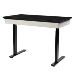 47" Losondo Transitional Height Adjustable Desk With USB Ports - HOMES: Inside + Out 18 47" Losondo Transitional Height Adjustable Desk With USB Ports - HOMES: Inside + Out -Inside out home GUEST a8a19656 062a 46a2 846c b0c21cd7352a